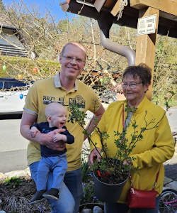 Kletterrose fuer Nachwuchs 2026